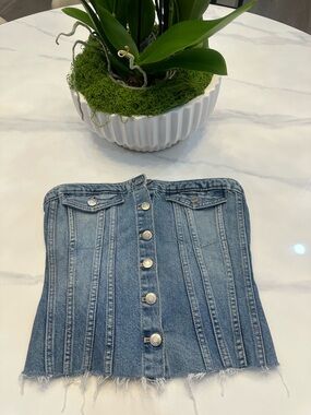 Zara Blue Denim Strapless Button-Front Tube Top